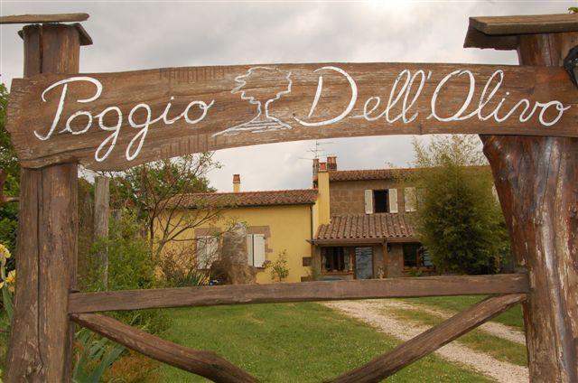 ピティリアーノ Poggio Dell'Olivoヴィラ エクステリア 写真