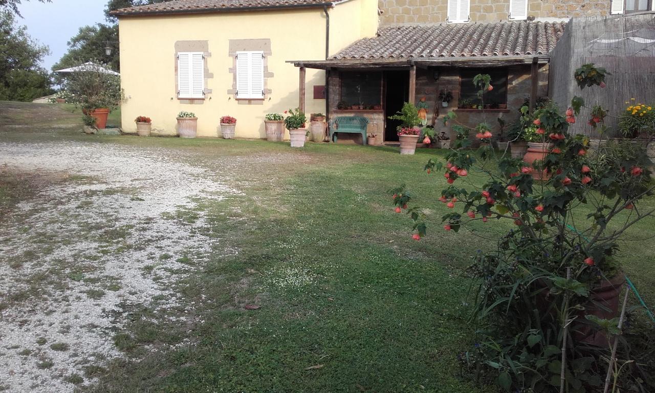 ピティリアーノ Poggio Dell'Olivoヴィラ エクステリア 写真